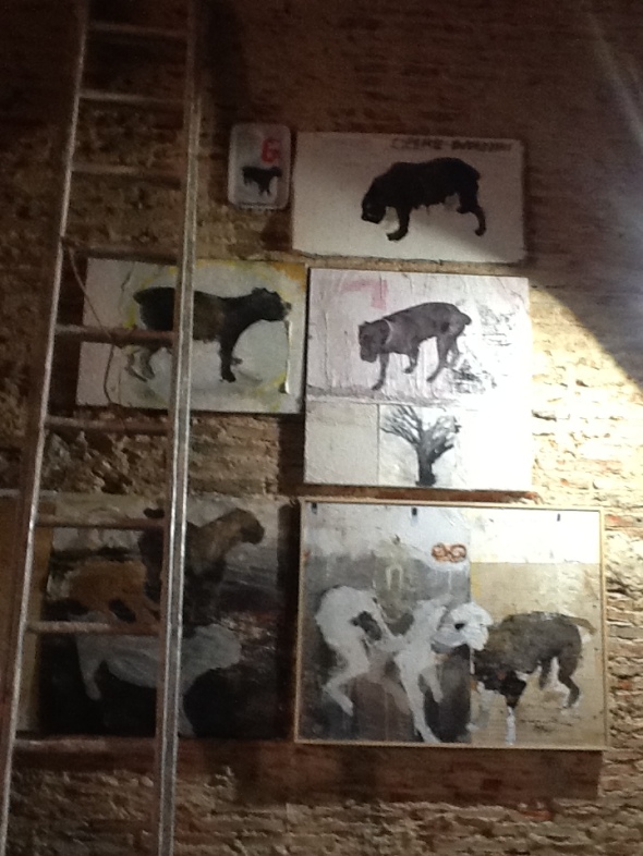 spazio Tabadoul 2 e mezzo, cani  matteo zinesi, in mostra Berra e Zinesi a Tangeri Tabadoul scambio labrouge